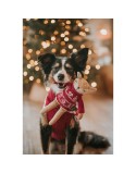 Jouet pour chien Hunter Birka Marron Cerf