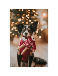 Giocattoli per cani Hunter Birka Marrone Cervo