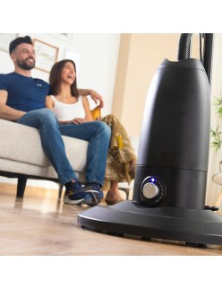 Standventilador und -vernebler mit Fernbedienung InnovaGoods Schwarz 2,8 L 90 W (Restauriert A)