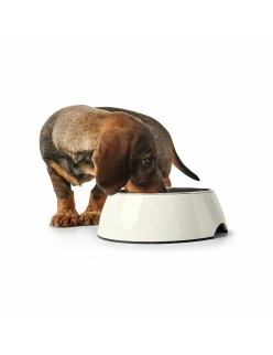 Futternapf für Hunde Hunter Weiß Melamine 1,4 L (Restauriert A)