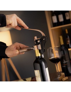 Set of Wine Accessories Servin InnovaGoods 5 Pieces