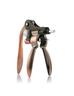 Set of Wine Accessories Servin InnovaGoods 5 Pieces