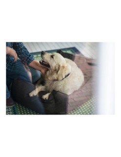 Hundesofa Hunter Boston 80x60 cm Braun