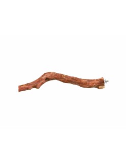 Percha para Pájaros Trixie 45 cm Marrón
