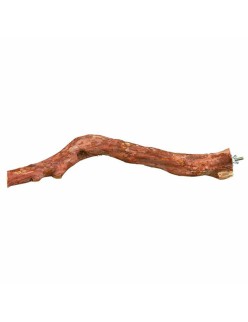 Percha para Pájaros Trixie 45 cm Marrón