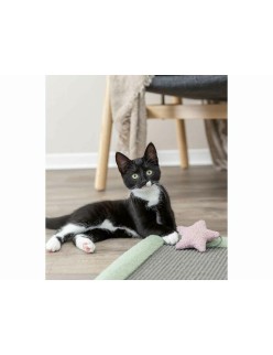 Scratching Post for Cats Trixie Grey Mint 47 x 47 cm