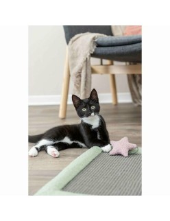 Scratching Post for Cats Trixie Grey Mint 47 x 47 cm