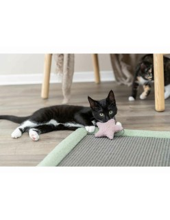 Scratching Post for Cats Trixie Grey Mint 47 x 47 cm
