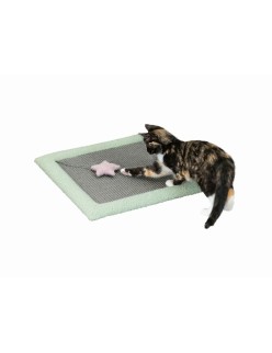 Scratching Post for Cats Trixie Grey Mint 47 x 47 cm