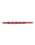 Hundehalsband Hunter Swiss Rot/Schwarz 30-34.5 cm