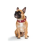 Hundehalsband Hunter Swiss Rot/Schwarz 30-34.5 cm