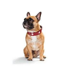 Hundehalsband Hunter Swiss Rot/Schwarz 30-34.5 cm