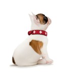 Hundehalsband Hunter Swiss Rot/Schwarz 30-34.5 cm
