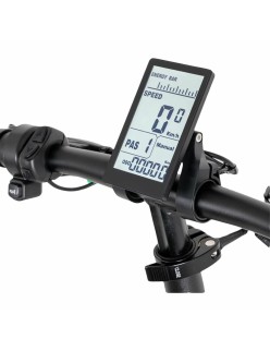 Elektrisches Fahrrad Youin BK1700 LUXOR URBAN (Restauriert B)