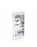 3 in 1 Teleskop-Eiskratzer Removice InnovaGoods (Restauriert A)