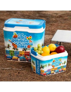 Frigo Portatile Aktive The Havana Vibes 5 L