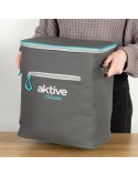 Frigo Portatile Aktive 23 L 30 x 22 x 35 cm