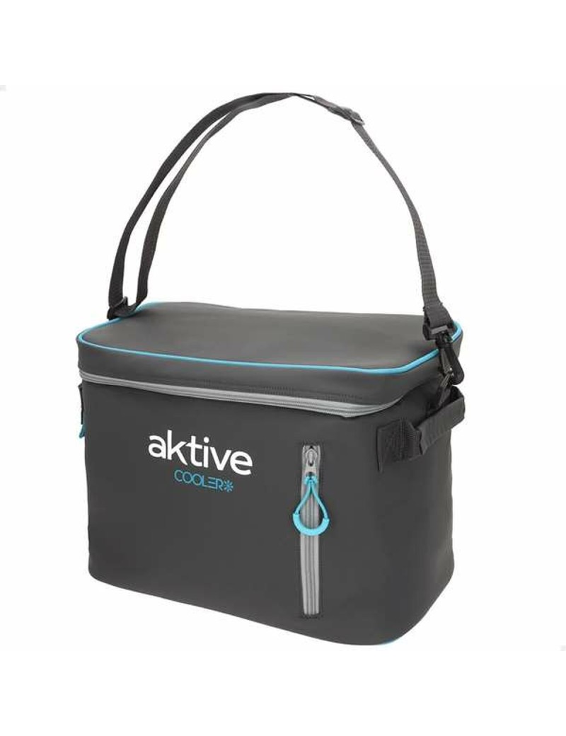 Frigo Portatile Aktive 18 L 34 x 21 x 26 cm