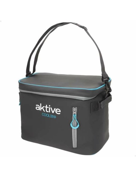 Frigo Portatile Aktive 18 L 34 x 21 x 26 cm