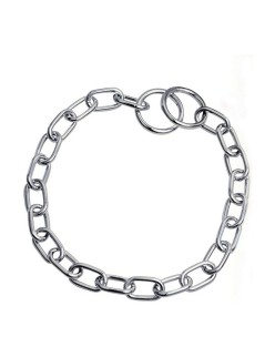 Dog collar Hs Sprenger Silver 3,4 mm Links Short (65 cm)