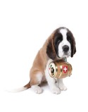 Wachs Pawz MAXWAX 60 g