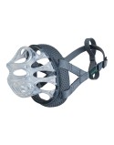 Muzzle Company of Animals Transparent 5