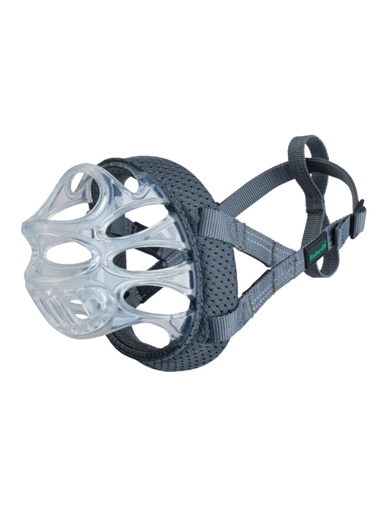 Muzzle Company of Animals Transparent 5