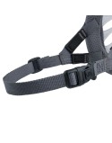 Muzzle Company of Animals Transparent 5