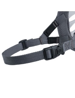 Muzzle Company of Animals Transparent 5