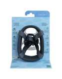Muzzle Company of Animals Transparent 5