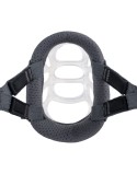 Muzzle Company of Animals Transparent 5