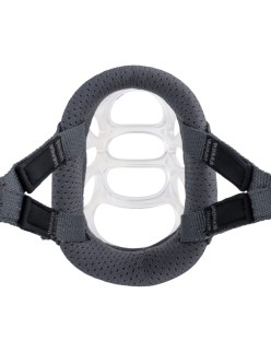Muzzle Company of Animals Transparent 5