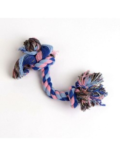 Conjunto de acessórios Stitch Cão