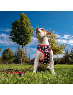 Hundegeschirr Mickey Mouse XS/S