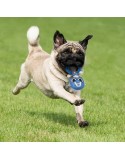Dog toy The Avengers