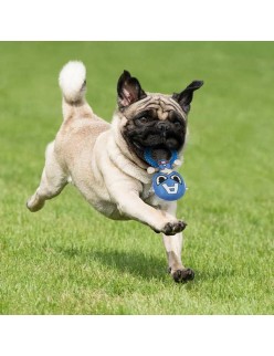 Dog toy The Avengers