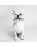 Jouet pour chien Spider-Man