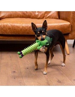 Dog toy The Avengers