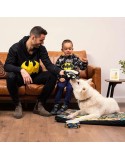 Dog toy Batman