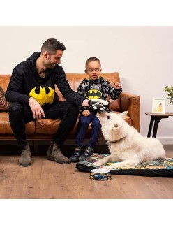 Jouet pour chien Batman