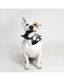 Dog toy Batman
