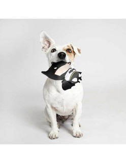 Dog toy Batman