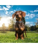 Hundehalsband Mickey Mouse
