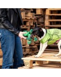 Jouet pour chien The Avengers