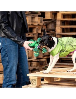 Dog toy The Avengers