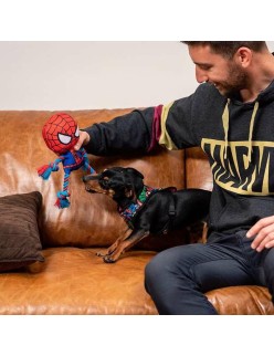 Dog toy Spider-Man