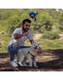 Dog toy The Avengers