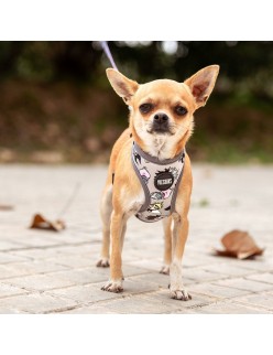 Arnês para Cães Disney