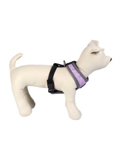 Arnês para Cães Disney