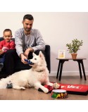 Dog Bed Marvel Multicolour
